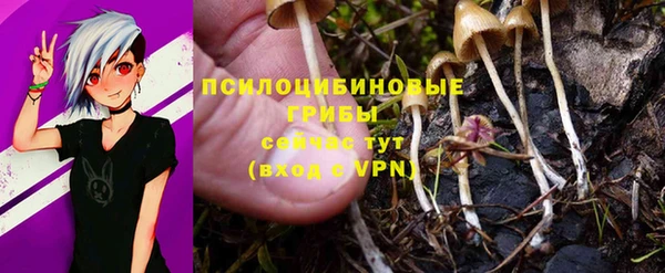 стафф Навашино