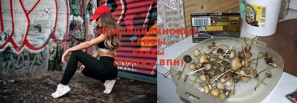 стафф Навашино